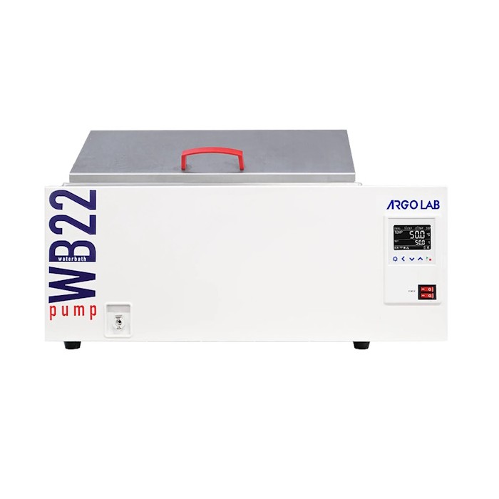 WB 22 Pump