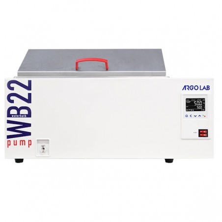 WB 22 Pump