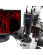 Foto / Video microscopia